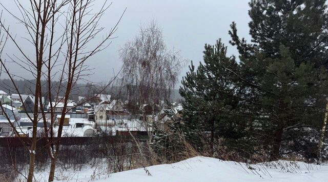 снт Лепешки проезд Высоковольтный, Пушкинский городской округ фото