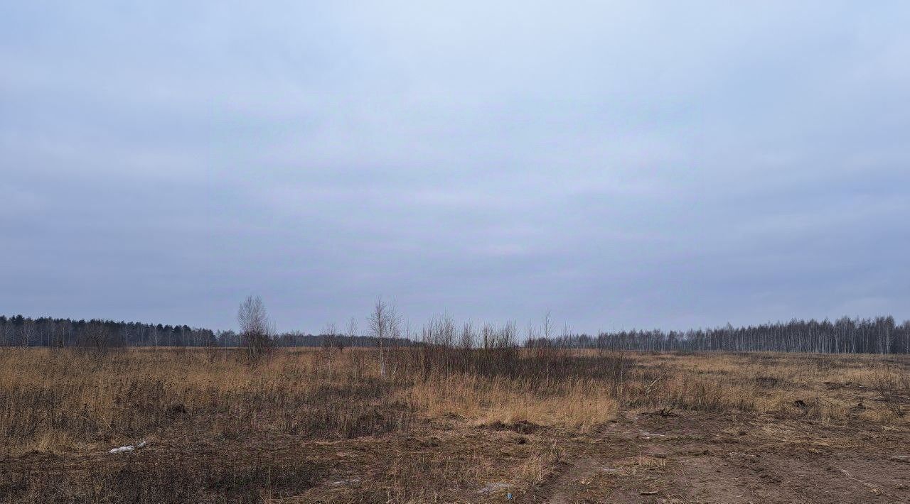 земля г Кашира Ожерелье мкр фото 1