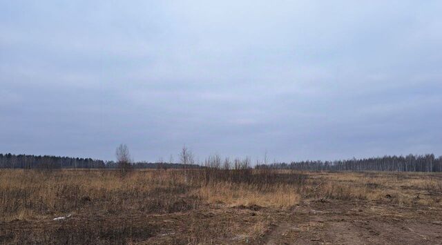 Ожерелье мкр фото