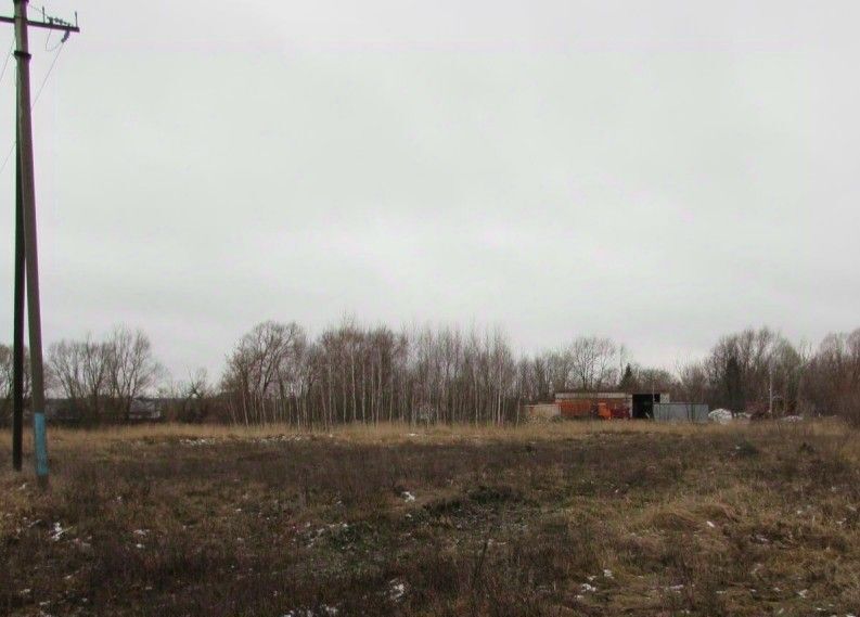 земля г Коломна ул Луговая Озеры фото 3