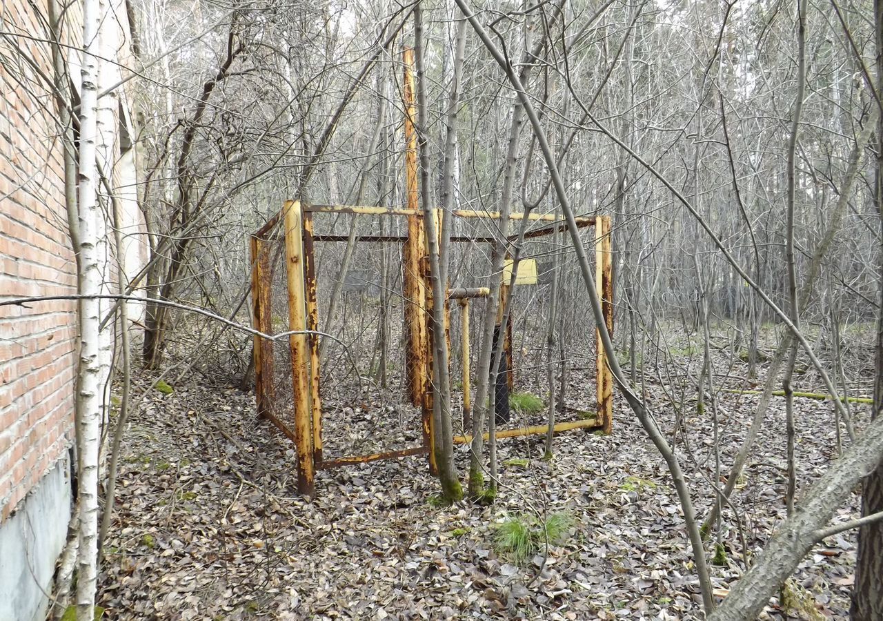 земля г Бердск Бердское шоссе, Речкуновская зона отдыха фото 3