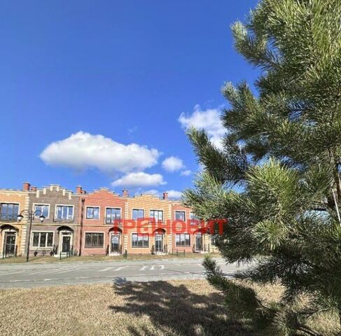 р-н мкр Березки сельсовет, 175, Мичуринский фото