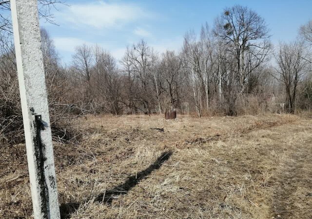 некоммерческое товарищество Росинка, садовое фото