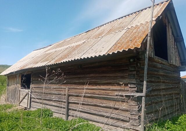 ул Центральная Новоалейский сельсовет, Староалейское фото