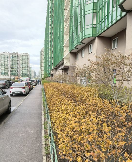 квартира р-н Всеволожский г Мурино ул Шувалова 1 Девяткино, Муринское городское поселение фото 2