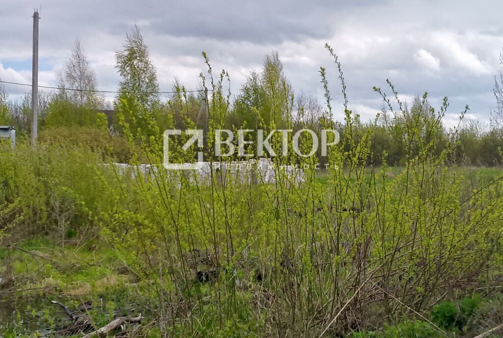 земля г Кострома п Волжский 1-й квартал фото 1