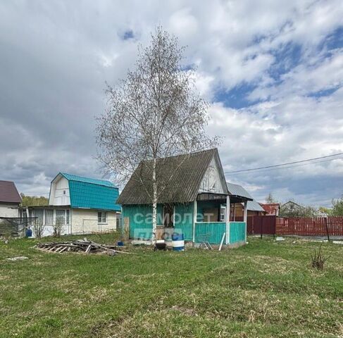 д Пущино снт Дубки 41 фото