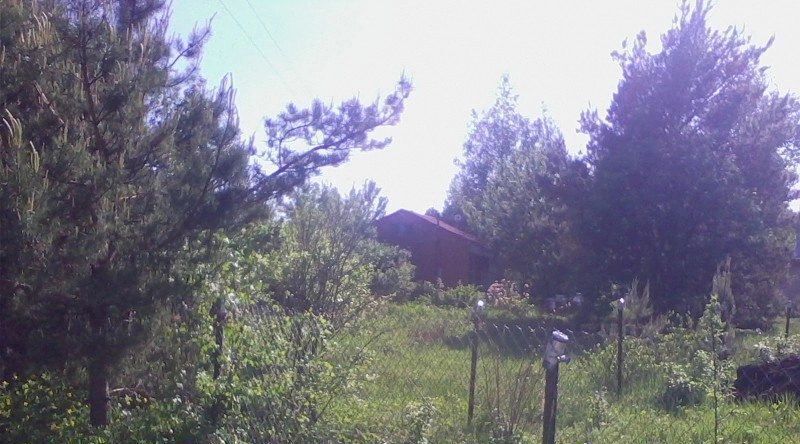 земля г Шатура пос. 21 фото 3