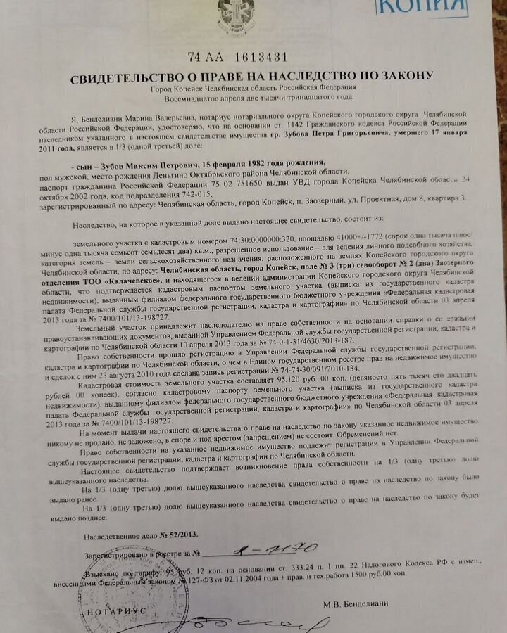 земля г Копейск Копейский г. о. фото 2