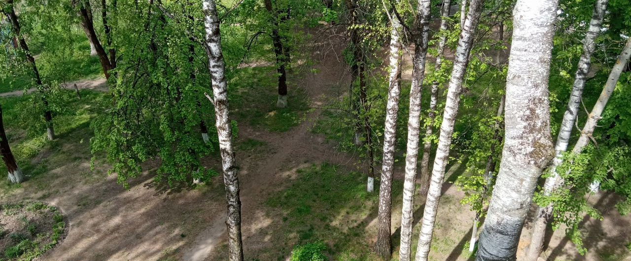 квартира г Брянск р-н Советский ул Костычева 25 фото 17