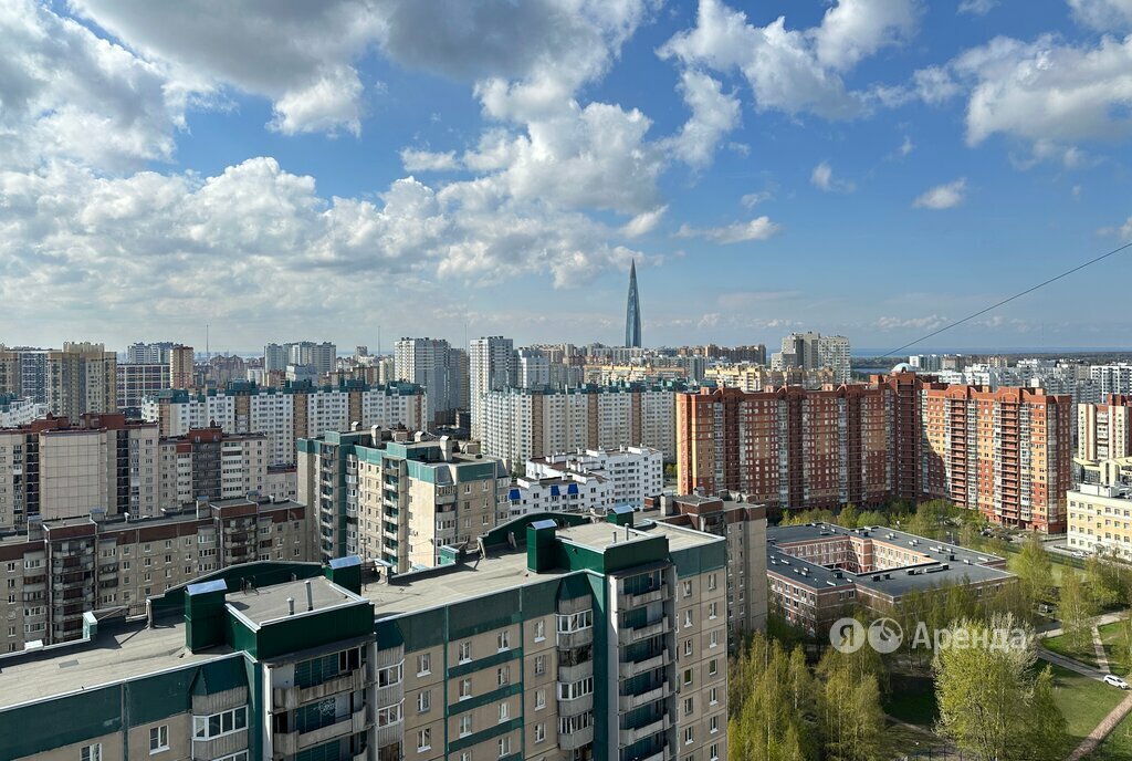 квартира г Санкт-Петербург метро Комендантский Проспект ул Камышовая 38к/1 округ № 65 фото 14