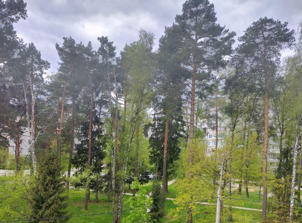 квартира р-н Жуковский г Кременки ул Лесная 9 городское поселение Кремёнки фото 8