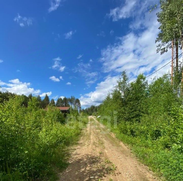 земля г Сыктывкар Лемское тер., Лазурное СНТ, 164 фото 2