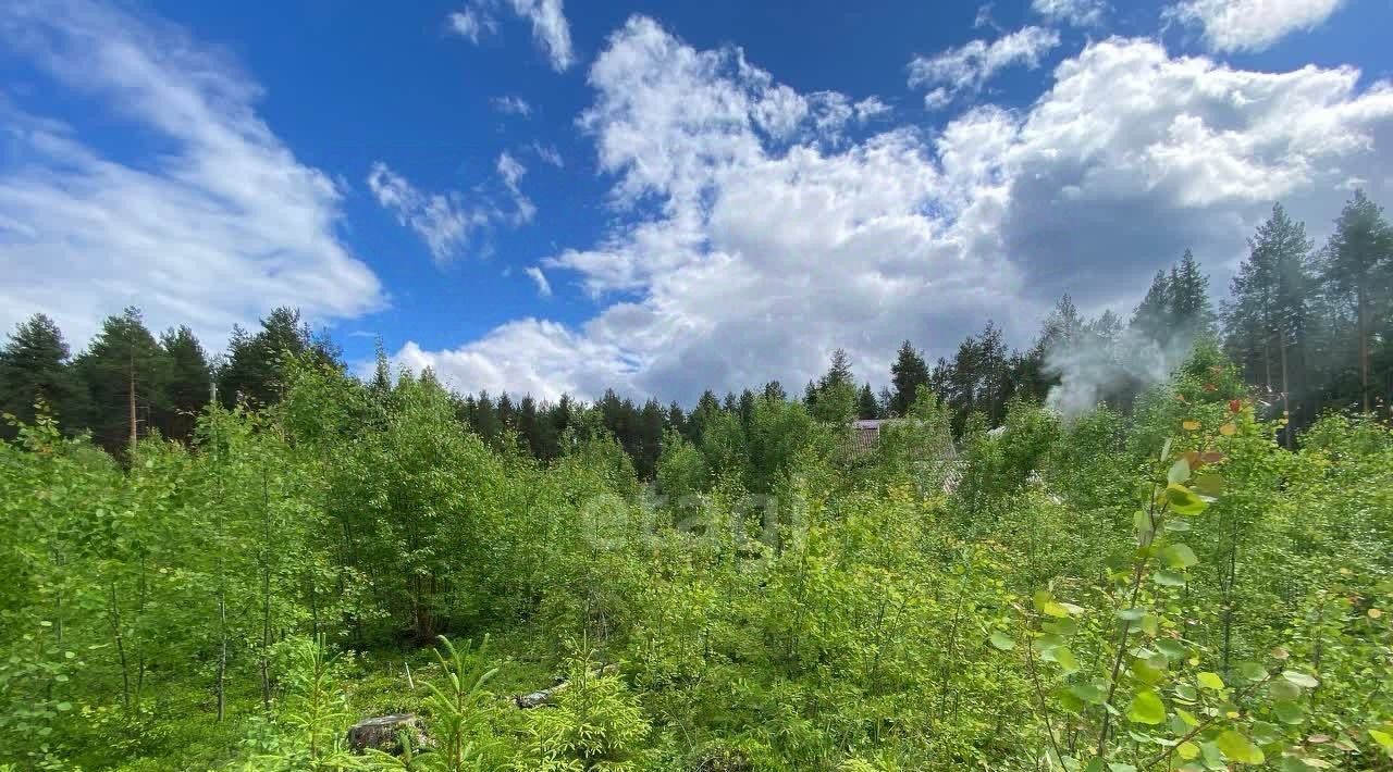 земля г Сыктывкар Лемское тер., Лазурное СНТ, 164 фото 4