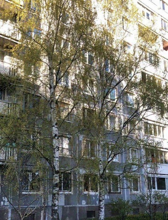квартира г Санкт-Петербург р-н Выборгский пр-кт Художников 3к/1 округ Сосновское фото 1