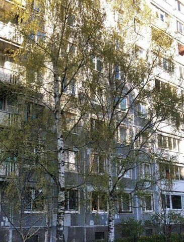 р-н Выборгский пр-кт Художников 3к/1 округ Сосновское фото