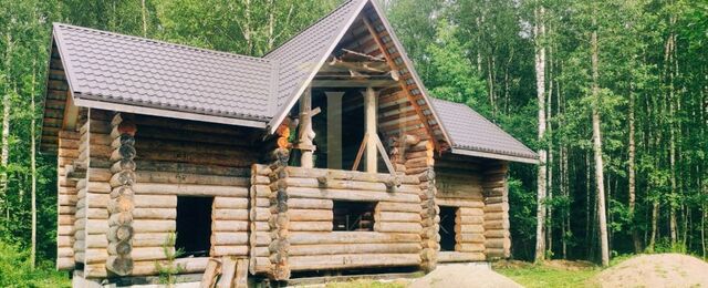 Московское шоссе, 60 км, Рябовское городское поселение, городской пос. Рябово, 5-я линия фото