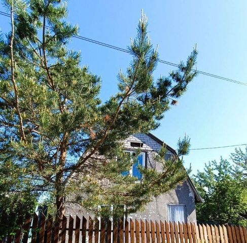 Новосемейкино городское поселение фото