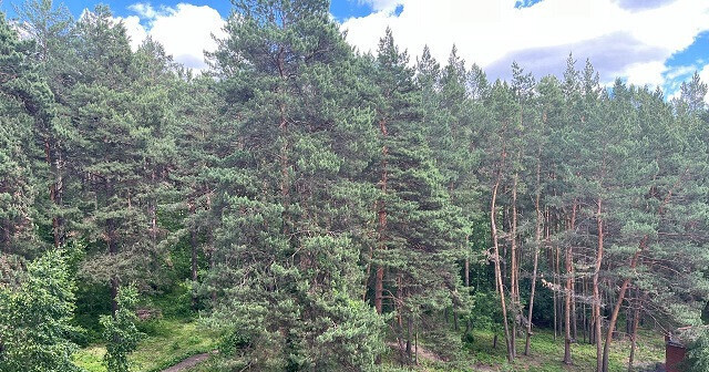 квартира г Новосибирск р-н Советский Нижняя Ельцовка ул Лесосечная 14 фото 15