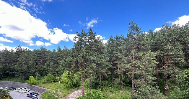 квартира г Новосибирск р-н Советский Нижняя Ельцовка ул Лесосечная 14 фото 16