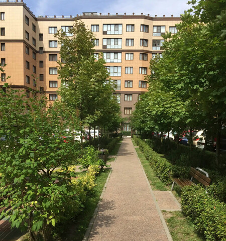 п Сосенское д Сосенки метро Ольховая дом 3/1 фото