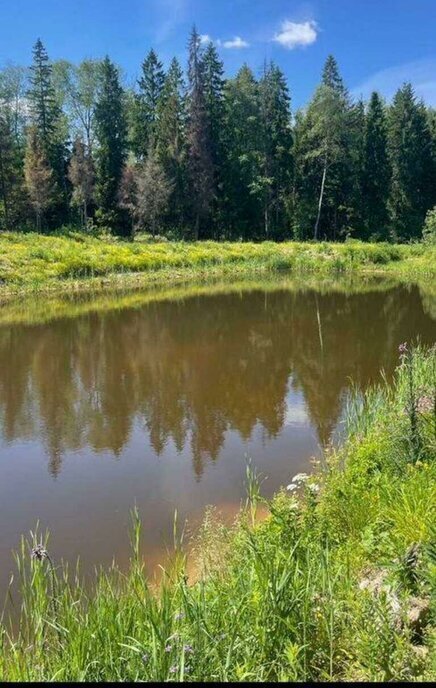дом г Одинцово снт Русский лес Кокошкино, Одинцовский городской округ фото 1