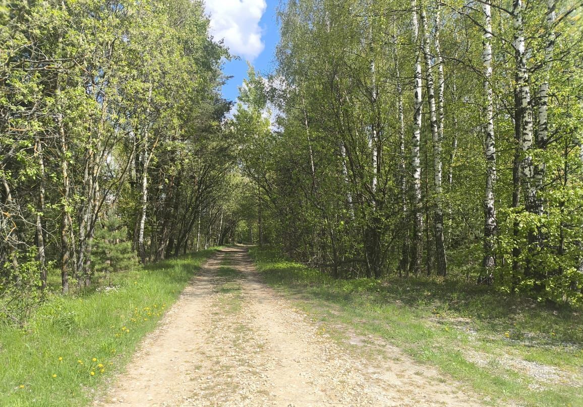 дом г Коломна 90 км, СНТ Речицы-2, Озёры, Каширское шоссе фото 10