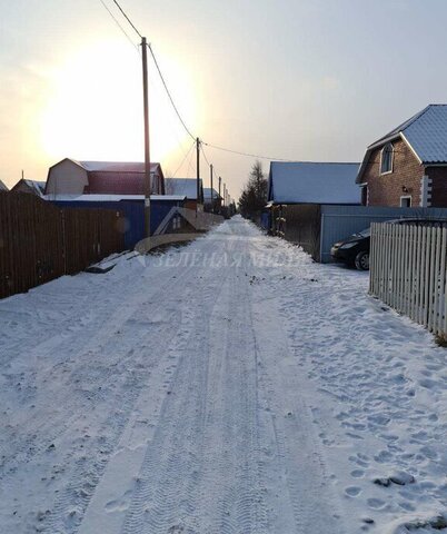 снт Липовый остров Центральный административный округ фото