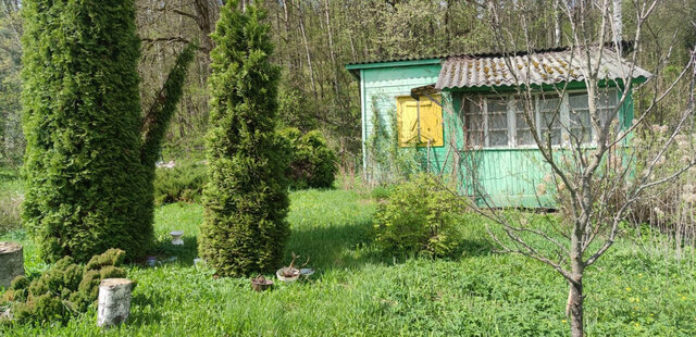 снт Родник 57 фото