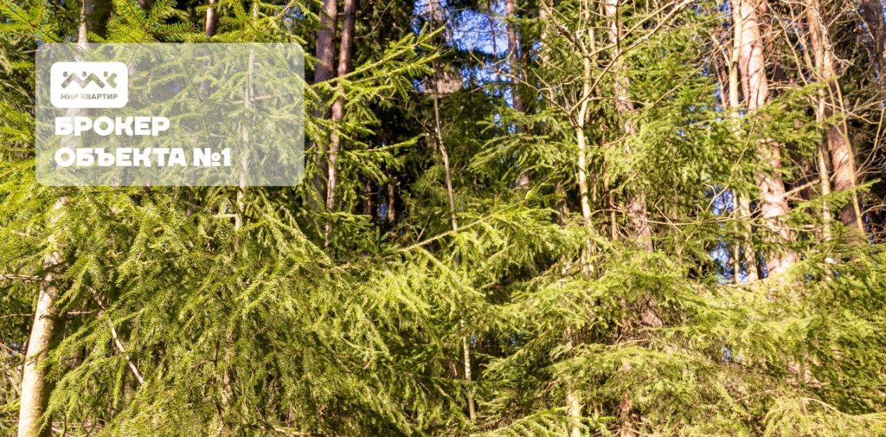 земля г Зеленогорск Курортный ул 1-я Лесная 18 фото 15