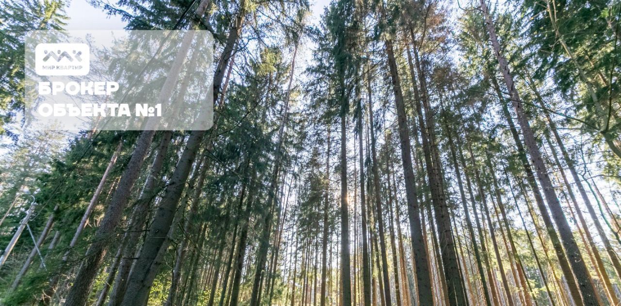 земля г Зеленогорск Курортный ул 1-я Лесная 18 фото 12