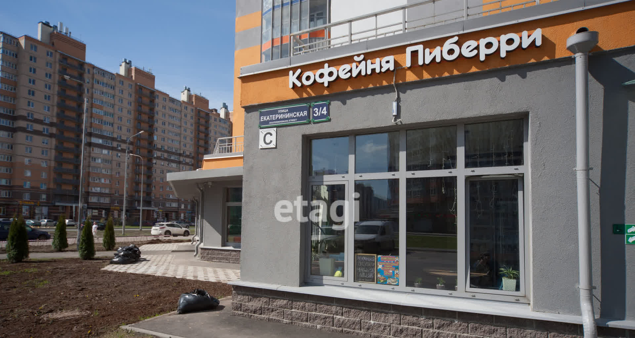 квартира р-н Всеволожский г Мурино ул Екатерининская 3/4 Девяткино, Западный м-н фото 18