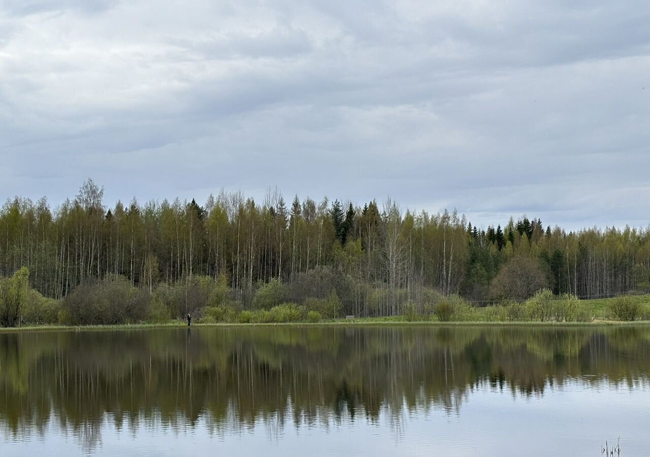 дом р-н Боровичский г Боровичи проезд Гагарина Боровичское городское поселение фото 27