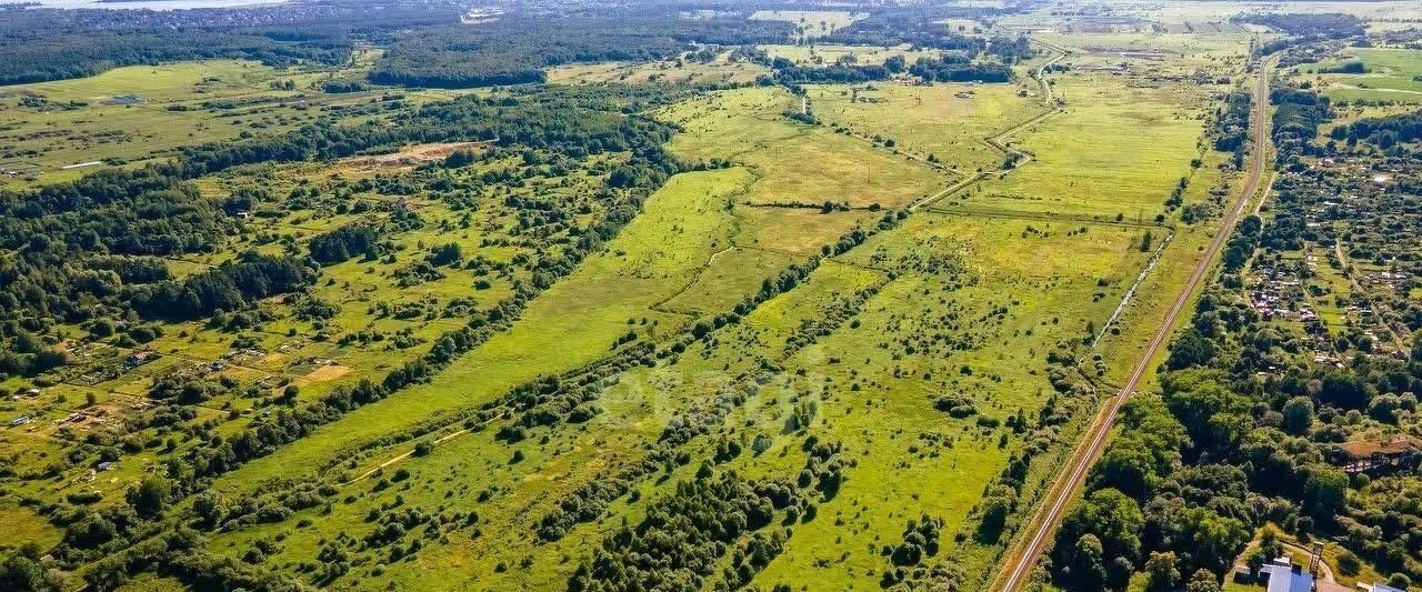 земля г Светлый п Люблино Светловский городской округ фото 10
