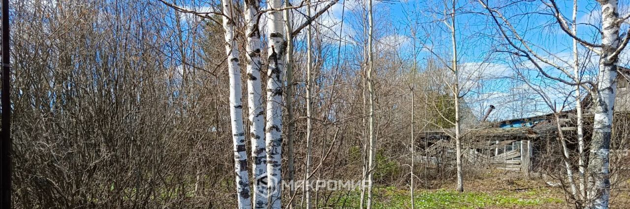 земля г Краснокамск снт Здоровье массив, Алешиха фото 23