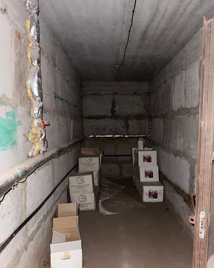 свободного назначения г Воронеж р-н Коминтерновский ул Антонова-Овсеенко 29 фото 3