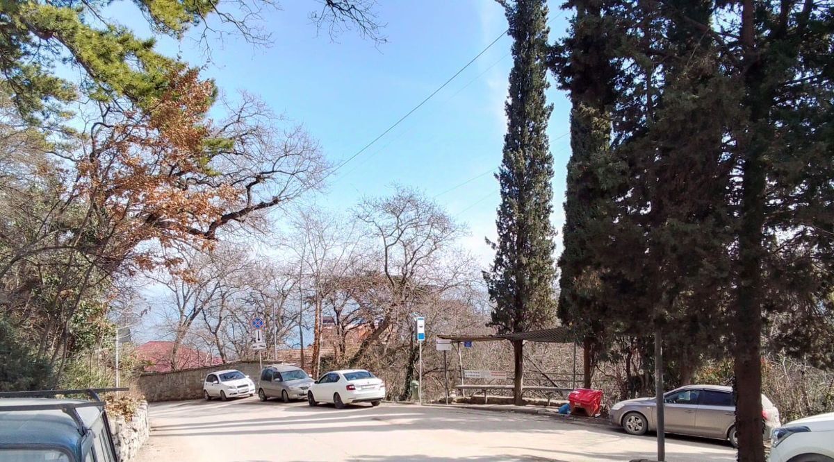 земля г Ялта пгт Ливадия пер Севастопольский фото 1