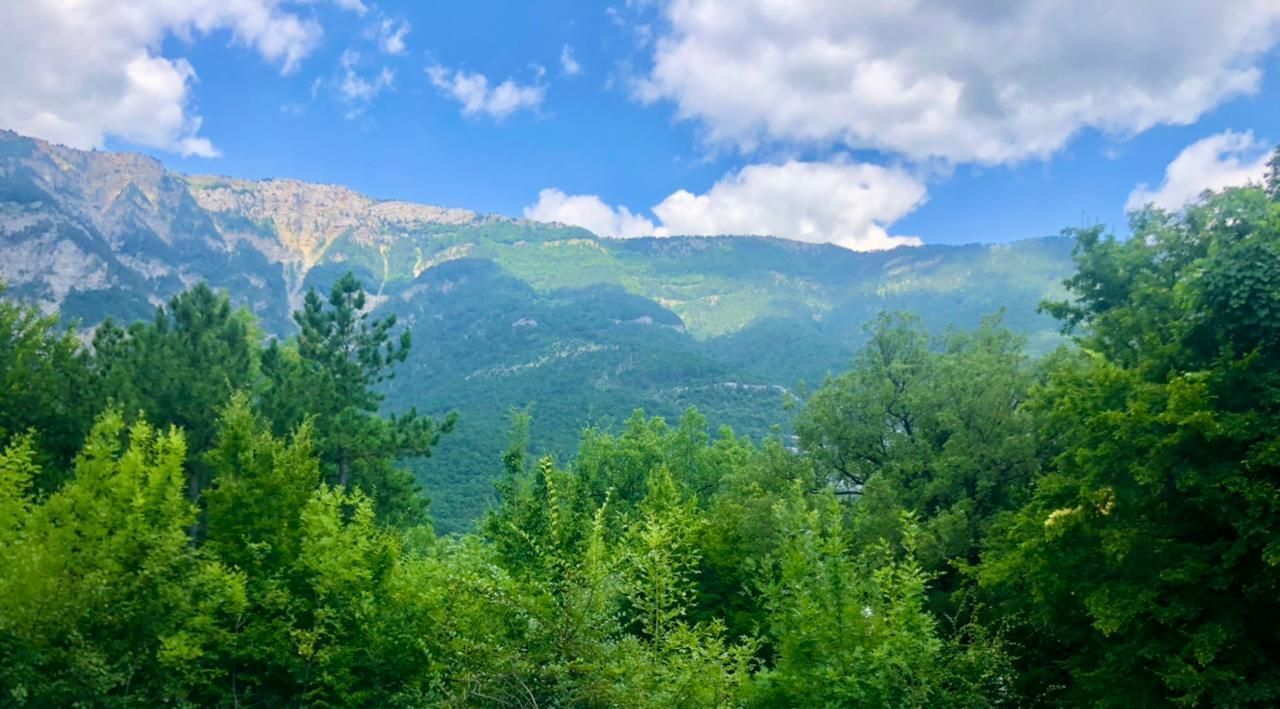 земля г Ялта пгт Виноградное ул Красина фото 1