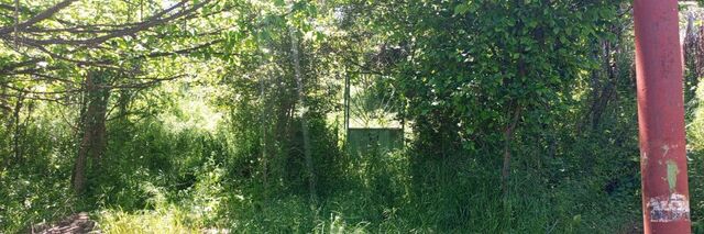 земля тер. СПК Труд фото