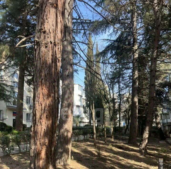 квартира г Алушта пгт Партенит ул Солнечная фото 17