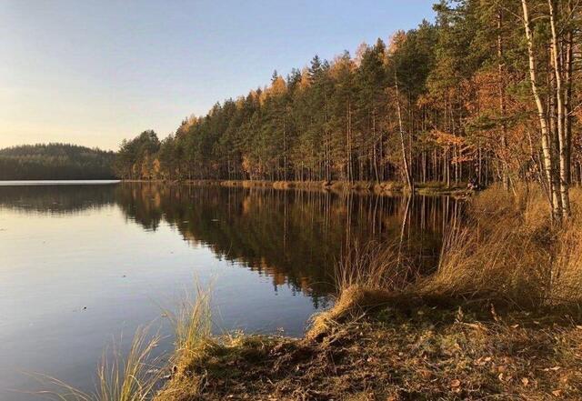 Петровское сельское поселение, Экомаршрут Гряда Вярямянселькя фото
