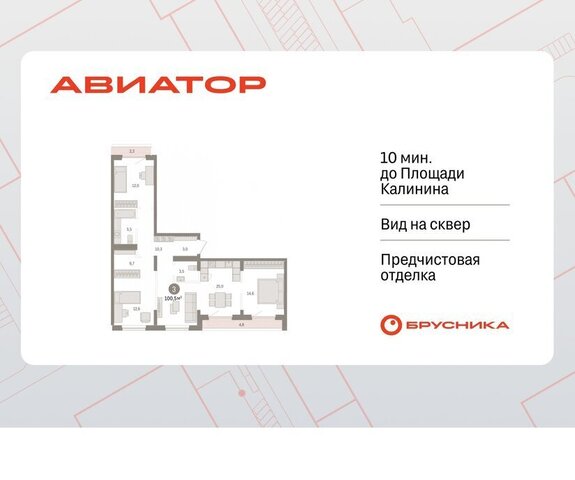 р-н Заельцовский Заельцовская ул Аэропорт фото