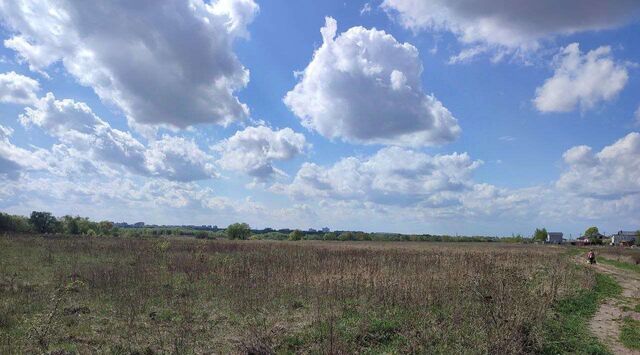 с Парфентьево ул Луговая Коломна городской округ фото
