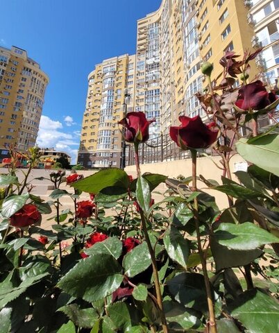р-н Западный ул Кожевенная 28 ЖК «Европейский» фото