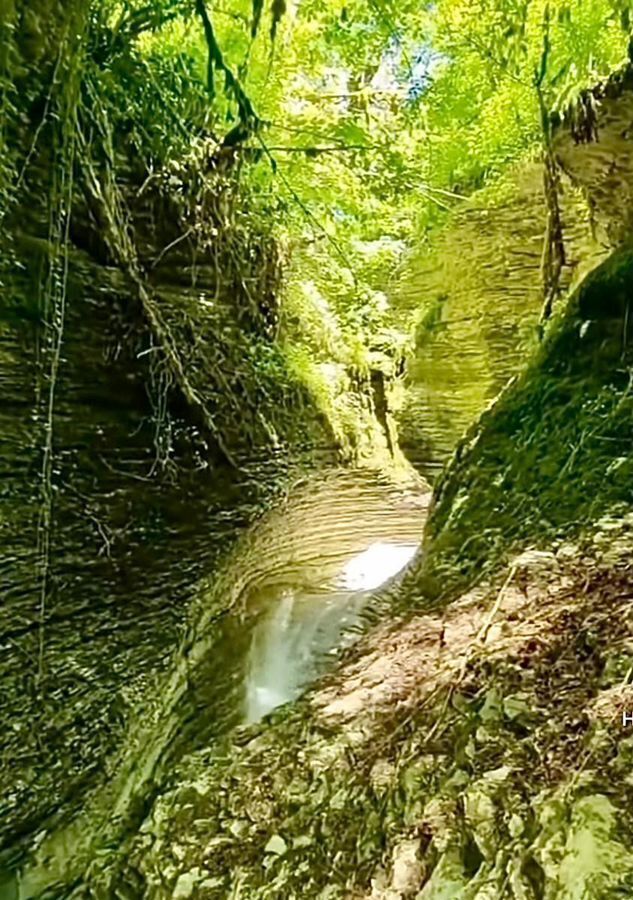 земля г Сочи р-н Адлерский с Ермоловка с Илларионовка р-н Адлерский фото 8