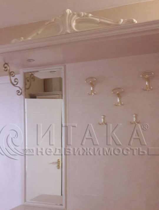 комната г Санкт-Петербург метро Проспект Ветеранов пр-кт Дачный 27к/4 фото 18