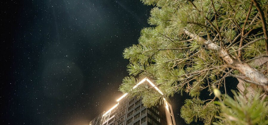 квартира г Новосибирск р-н Заельцовский Заельцовская Кропоткинский пр-кт Красный 104 ЖК Berlin Кропоткинский жилмассив фото 12