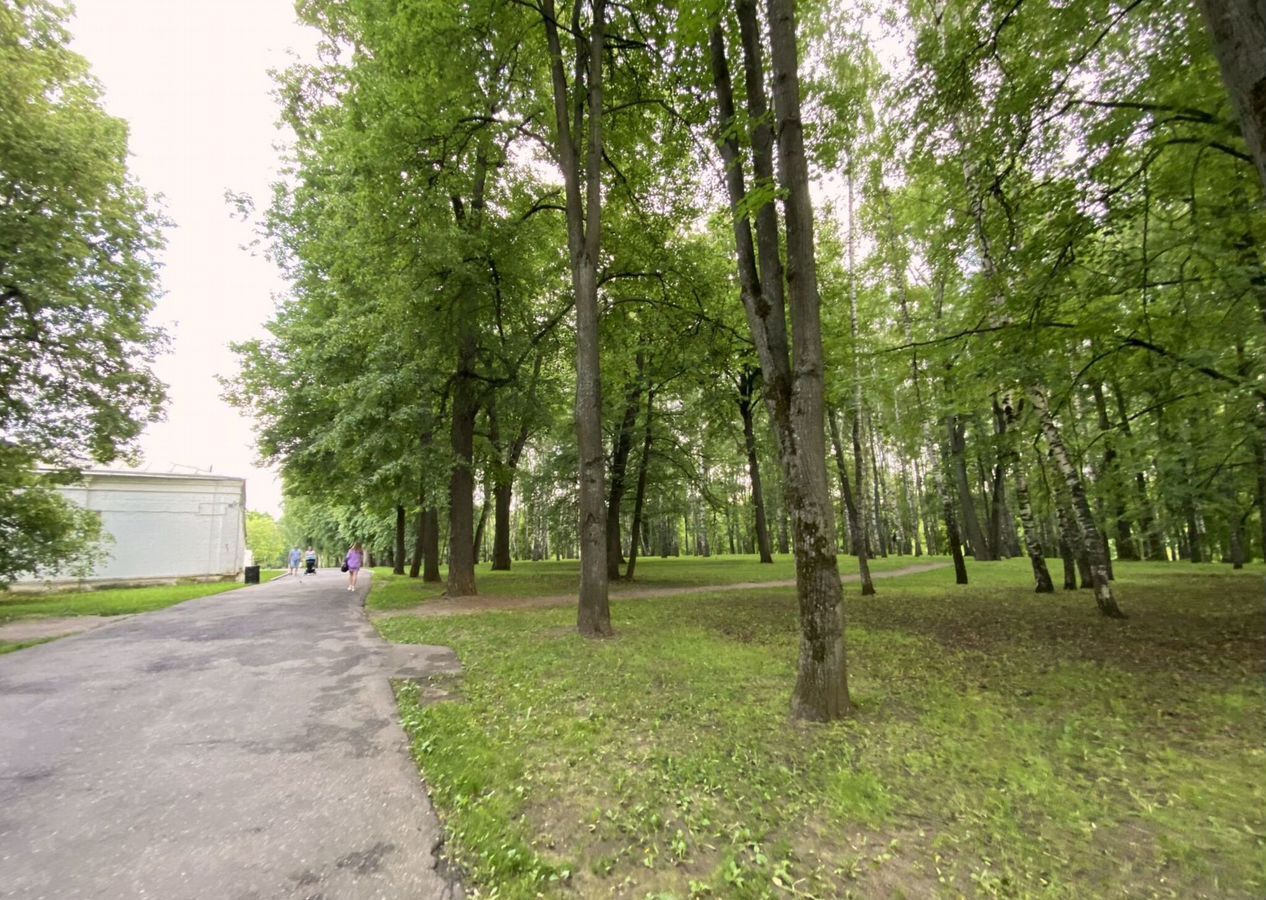 квартира г Москва метро Измайловская ул 2-я Парковая 12 муниципальный округ Измайлово фото 39