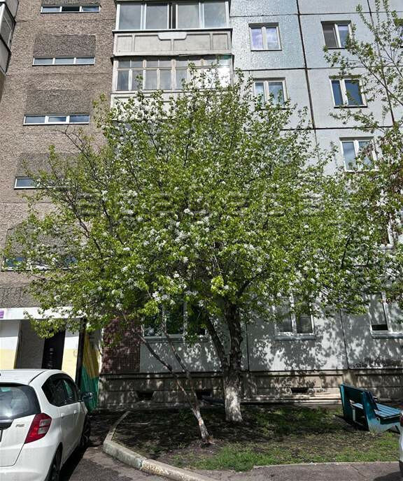 квартира г Красноярск р-н Советский Взлётка ул Весны 6 фото 9