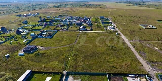 р-н Центральный пл Центральная Центральный административный округ фото